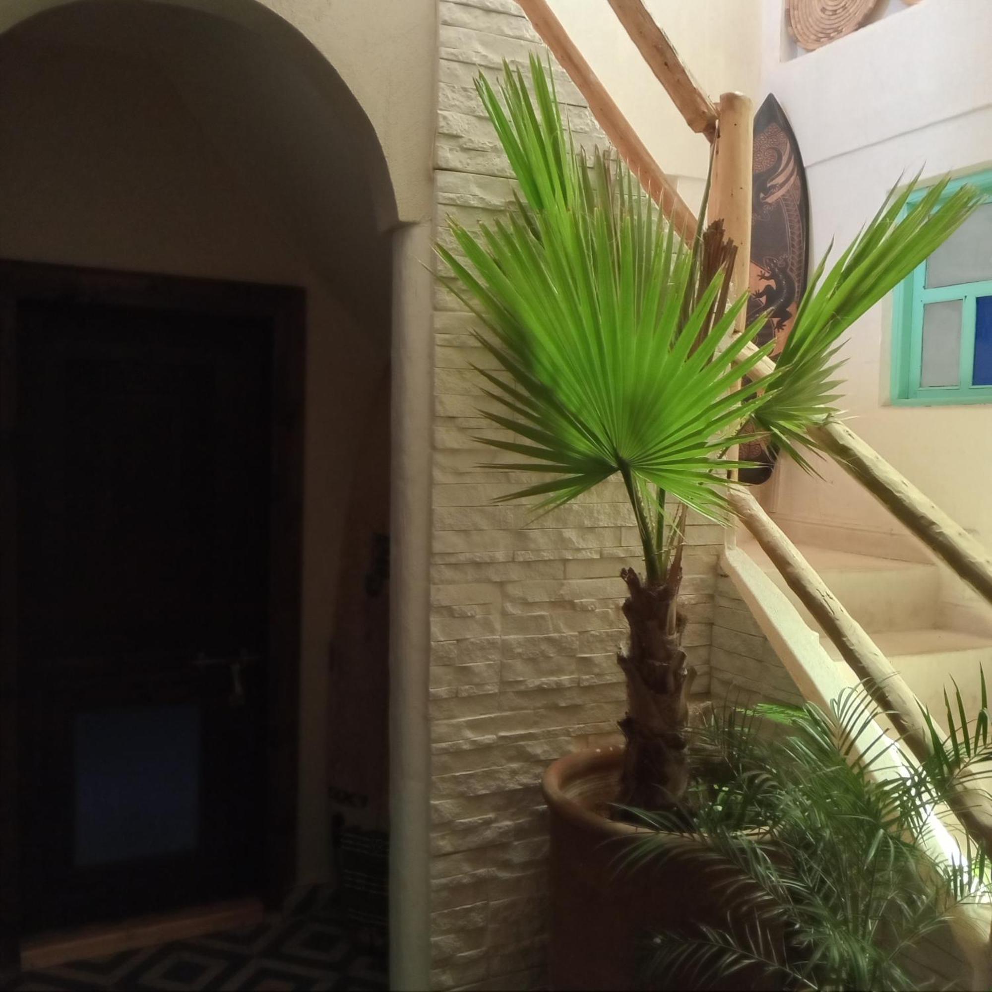 Moroccan Boho Surf House Агадир Экстерьер фото
